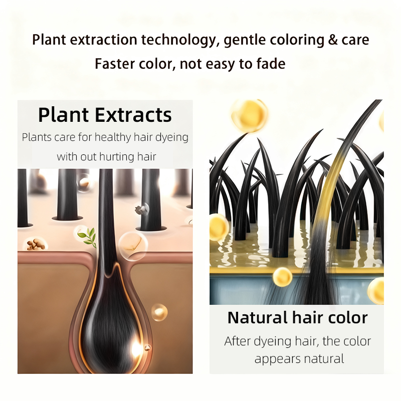 Obsidian Black Hair Dye Shampo - Hair Spray Color recension och pris